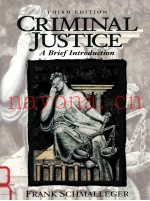 CRIMINAL JUSTICE A BRIEF INTRODUCTION THIRD EDITION
