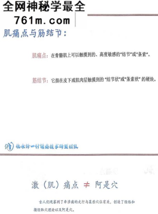 仇永峰一针镇痛技术电子书配套视频课程49集