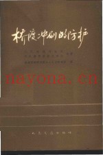 桥渡冲刷的防护