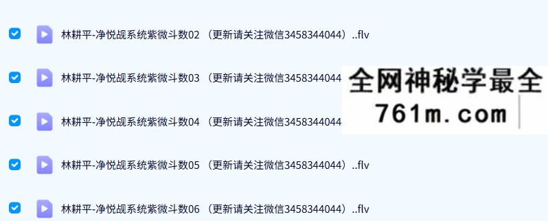 林耕平 净悦觇系统紫微斗数20集