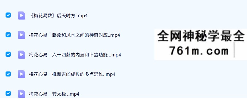 陈春林 梅花心易直播课程 14集