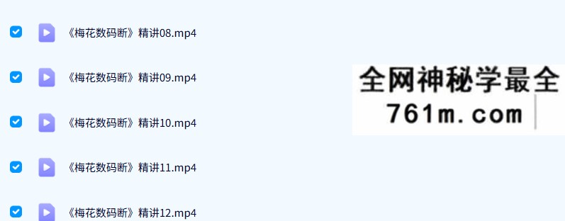 陈春林《梅花数码断》视频12集+配套讲义