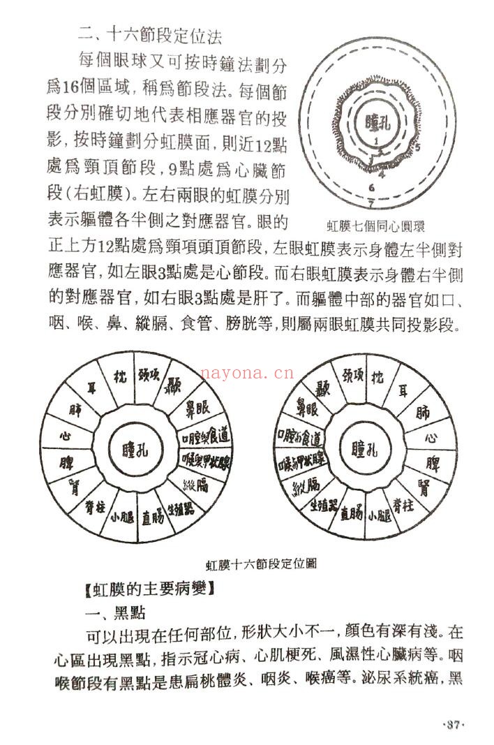 《中医全息诊疗术》372页 中医 第5张