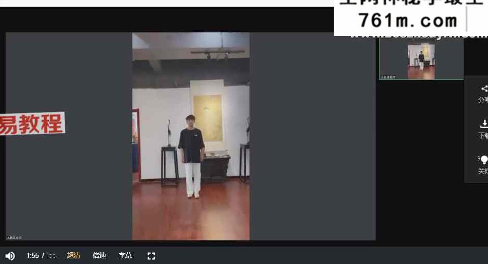 苏沅成【疗愈师】成就系统课 认证课 视频55集