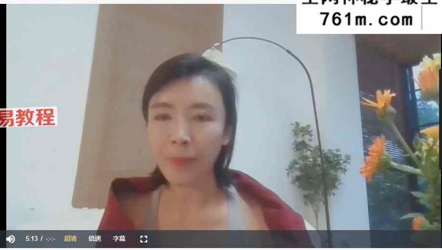 苏沅成【疗愈师】成就系统课 认证课 视频55集