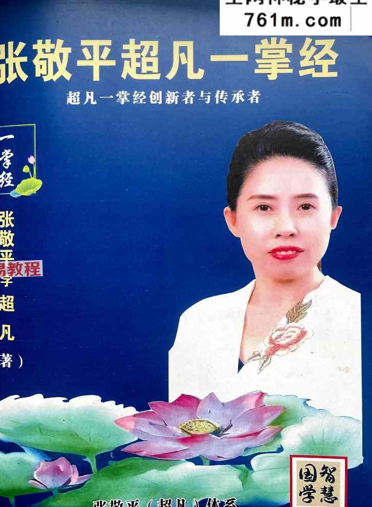 张敬平 超凡一掌经.pdf 249页