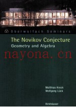 The Novikov Conjecture Geometry and Algebra