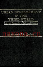 URBAN DEVELOPMENT IN THE THIRD WORLD