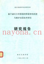 基于破坏力学原理的桥梁损伤机理与维护加固技术研究  研究报告