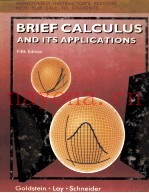 BRIEF CALCULUS AND ITS APPLICATIONS FIFTH EDITION