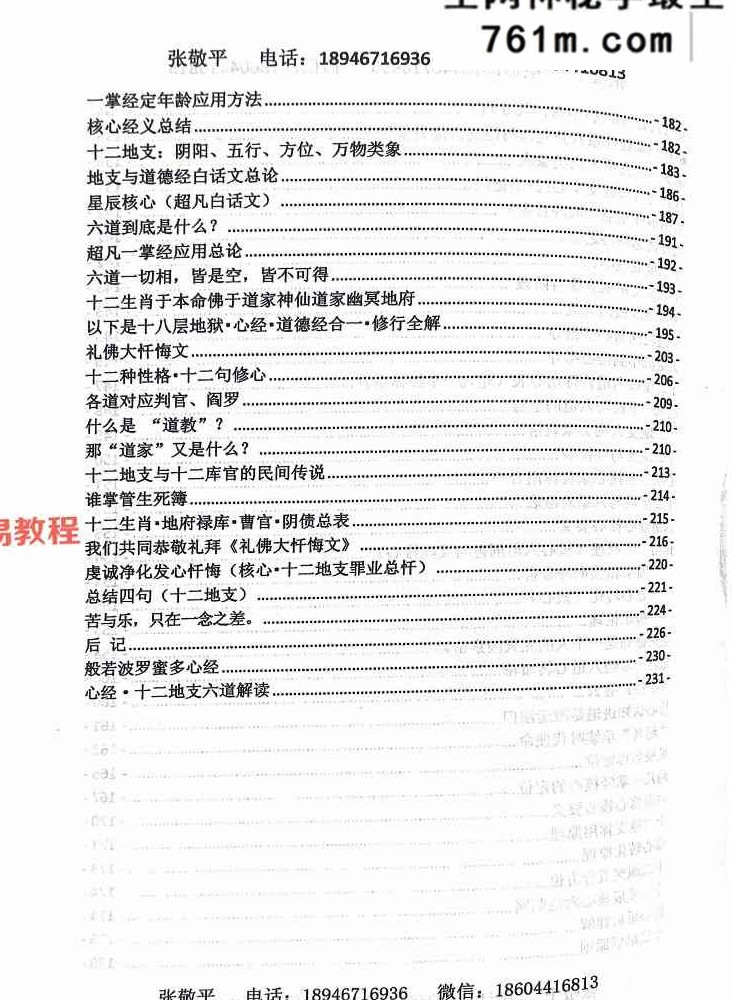 张敬平 超凡一掌经.pdf 249页