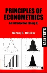 PRINCIPLES OF ECONOMETRICS:AN INTRODUCTION(USING R)