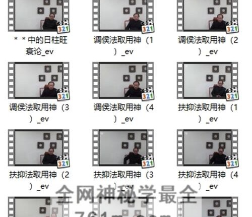 A2458徐丙昕四柱八字用神篇视频17集