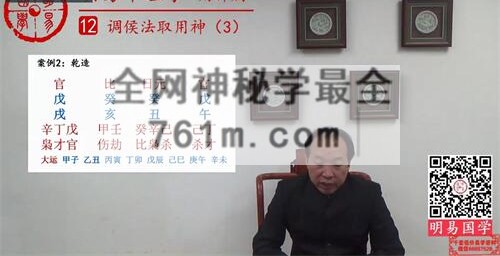 A2458徐丙昕四柱八字用神篇视频17集