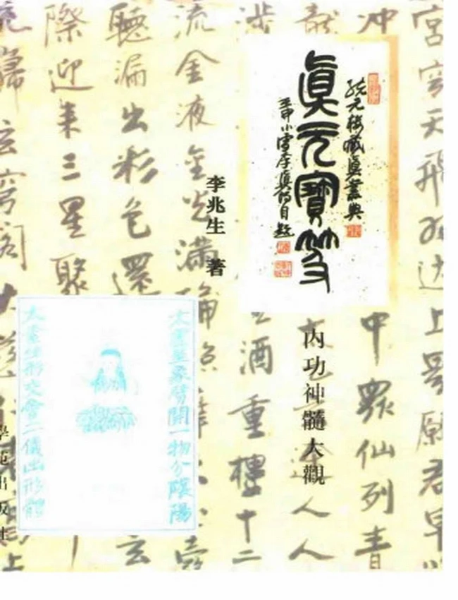 真元宝笈 – 内功神髓大观插图