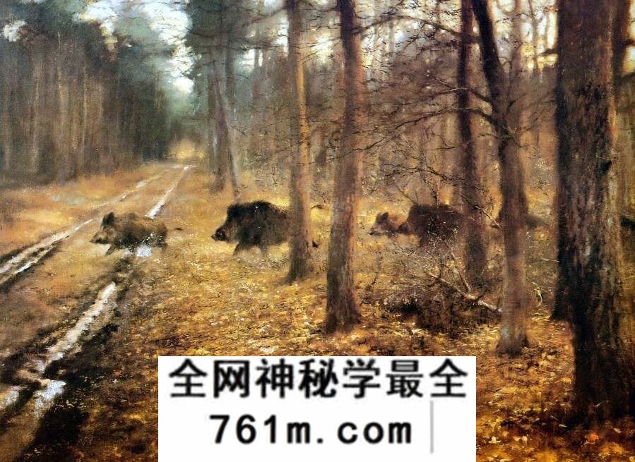 Rien Poortvliet 荷兰艺术家插图画家图集 百度网盘下载