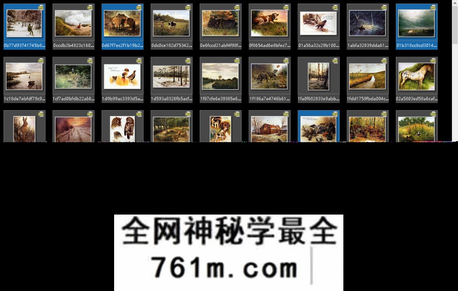 Rien Poortvliet 荷兰艺术家插图画家图集 百度网盘下载