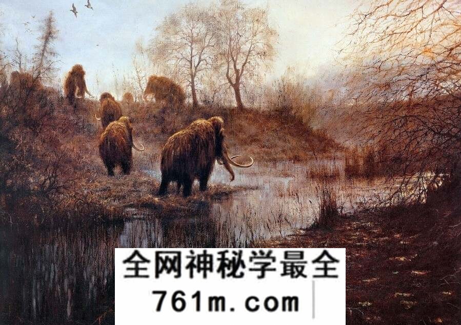 Rien Poortvliet 荷兰艺术家插图画家图集 百度网盘下载