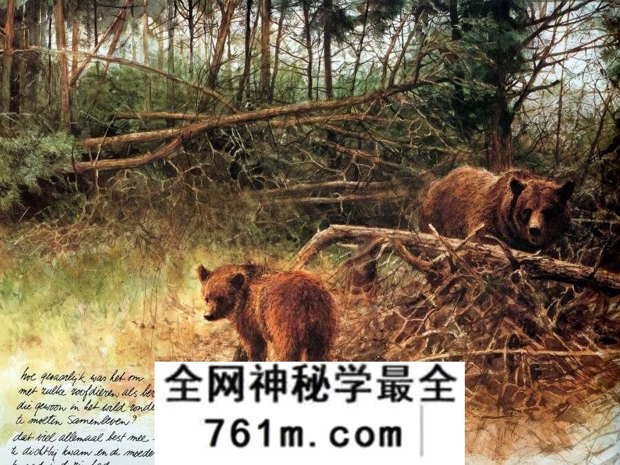 Rien Poortvliet 荷兰艺术家插图画家图集 百度网盘下载