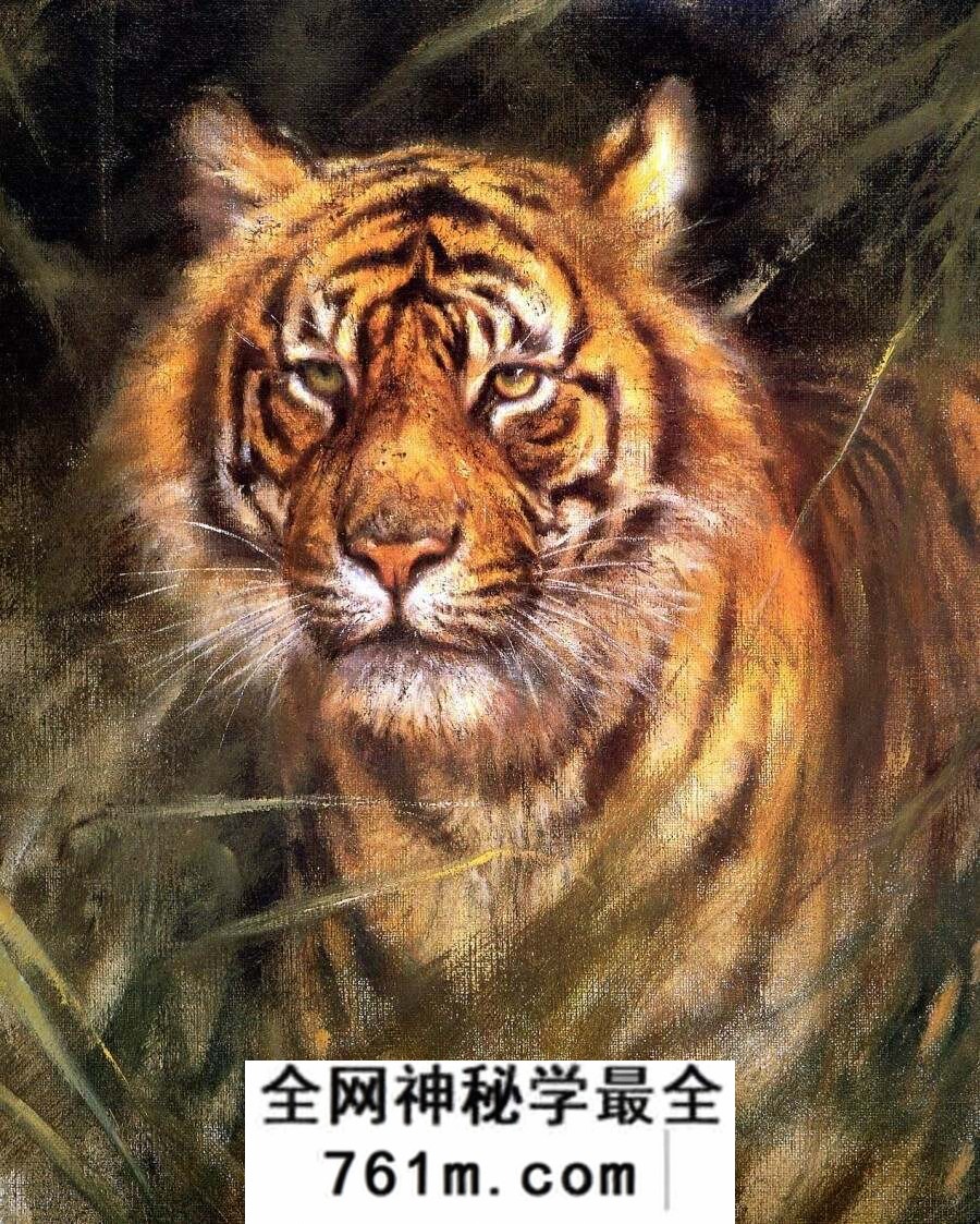 Rien Poortvliet 荷兰艺术家插图画家图集 百度网盘下载