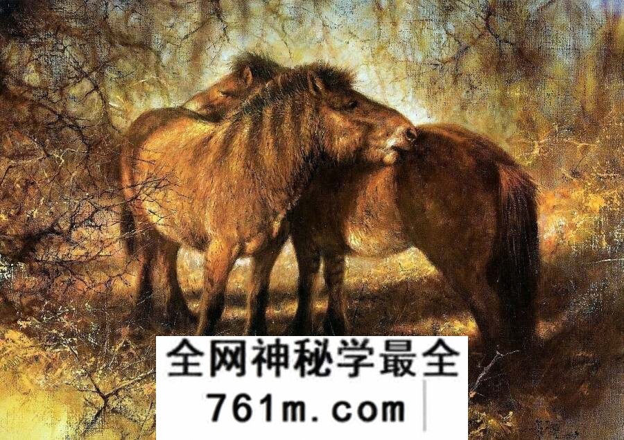 Rien Poortvliet 荷兰艺术家插图画家图集 百度网盘下载