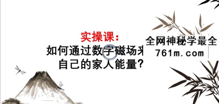 司天喜《数字能量学》手机号码高级班12集
