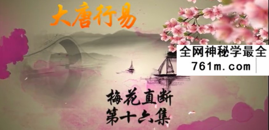 唐友权梅花易数课程梅花精断 36集