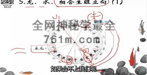 G1774逍遥国学课堂——家传杨公教学系列（字幕版）视频11集