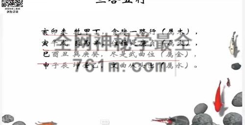 G1774逍遥国学课堂——家传杨公教学系列（字幕版）视频11集