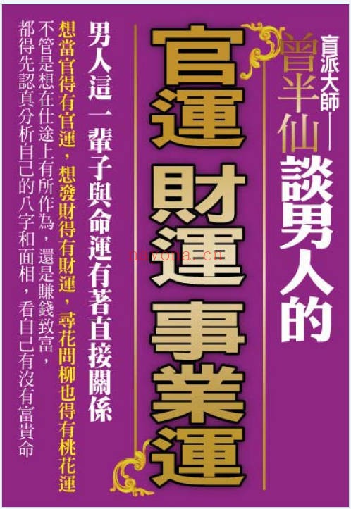 盲派曾大有曾半仙谈男人的官运财运事业运302页PDF