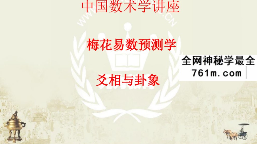 无为2016年梅花易数 无为学院张瑞鹏 梅花易数视频教程读象法外应20集+文档