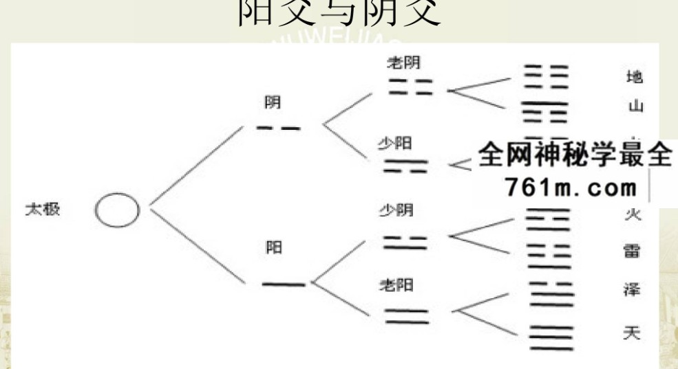 无为2016年梅花易数 无为学院张瑞鹏 梅花易数视频教程读象法外应20集+文档