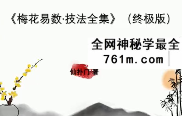 仙扑门 梅花易术（终极版）直播视频11集