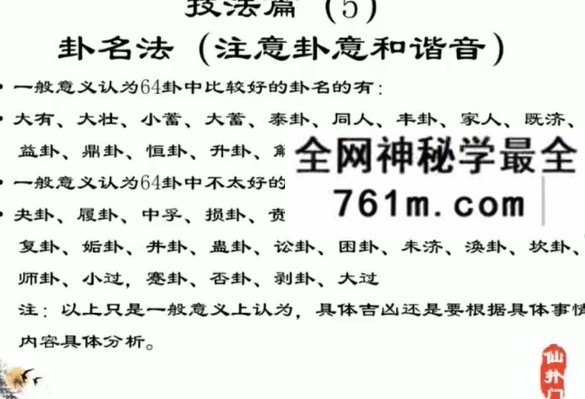 仙扑门 梅花易术（终极版）直播视频11集