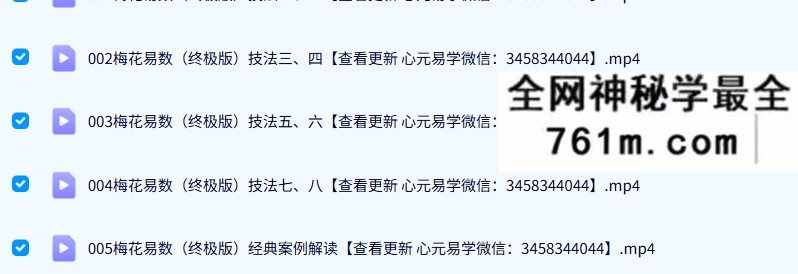 仙扑门 梅花易术（终极版）直播视频11集