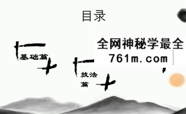 仙扑门 梅花易术（终极版）直播视频11集