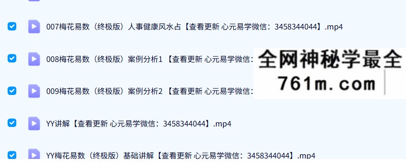 仙扑门 梅花易术（终极版）直播视频11集