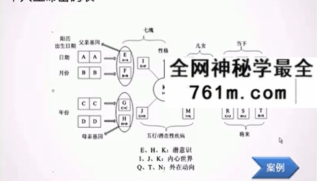 原野《数字能量》合集