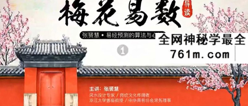 张赟慧 梅花易数导读 9集+文档