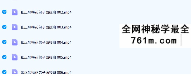 张正熙梅花弟子面授班49集