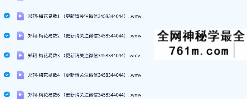 郑珂 梅花易数执业课程9集视频+讲义