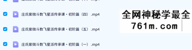 2021年 庄明正 庄氏飞星派紫微斗数(入门+初阶+中阶+高阶)72集