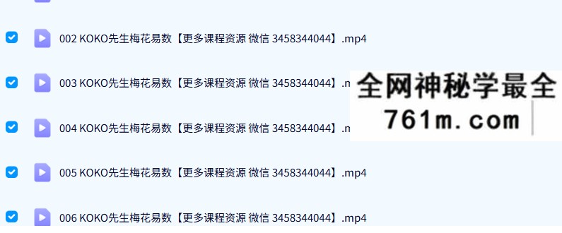 KOKO先生梅花易数10集