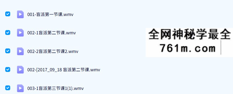崔文举 盲派八字网络77集视频课程合集