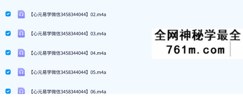 大道至简13年盲派象法53节录音+文档