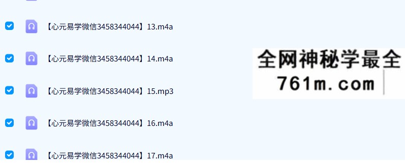 大道至简13年盲派象法53节录音+文档