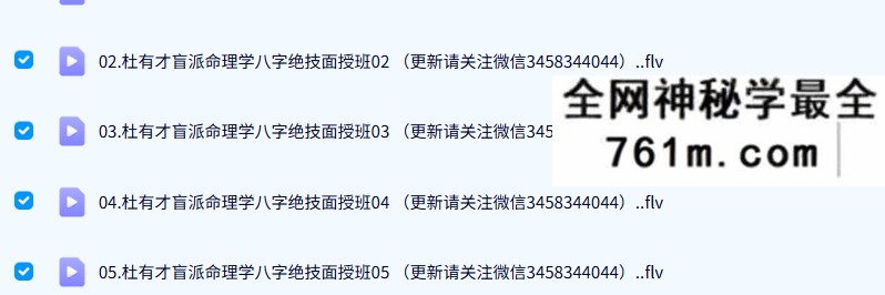 杜有才 盲派命理学八字绝技面授班19集