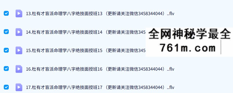 杜有才 盲派命理学八字绝技面授班19集