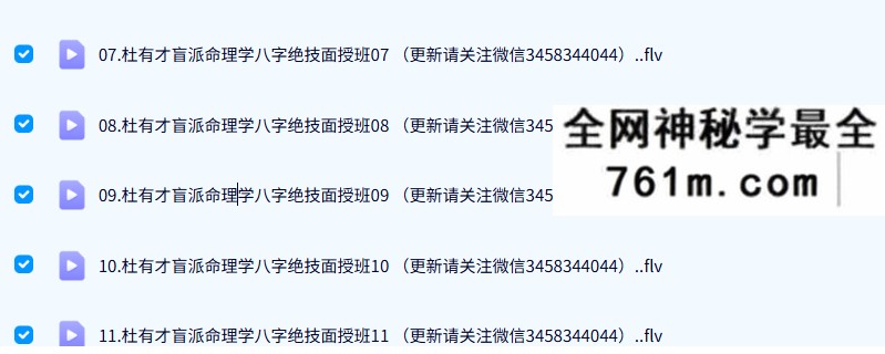 杜有才 盲派命理学八字绝技面授班19集