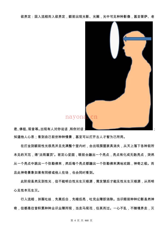 一尘丹道燃灯法脉460页PDF 丹道功法